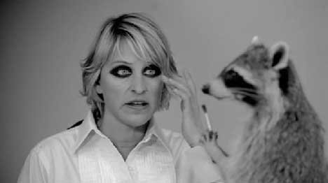 Image result for raccoon makeup