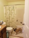 Bathroom_Finish_June25_18.jpg