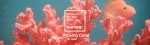 pantone-color-of-the-year-2019-living-coral-banner.jpg