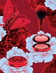 MAC Lunar New Year 2019 visual 2.jpg