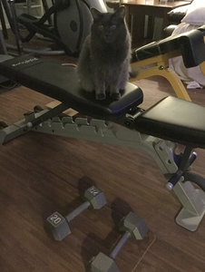 Nan_WorkoutPartner_20.jpg