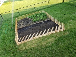 Gardenstuff_June4_2020 (2).jpg