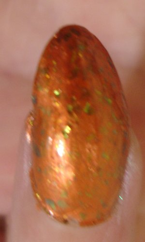 DSC00438.JPG