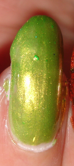 dsc00439.png