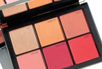 NARS-Wanted-II-Cheek-Palette-macro.jpg