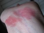 IMG_0344.JPG