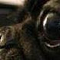 pugpug