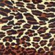 leopard_print