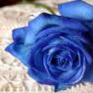 bluerose10121