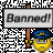 user6