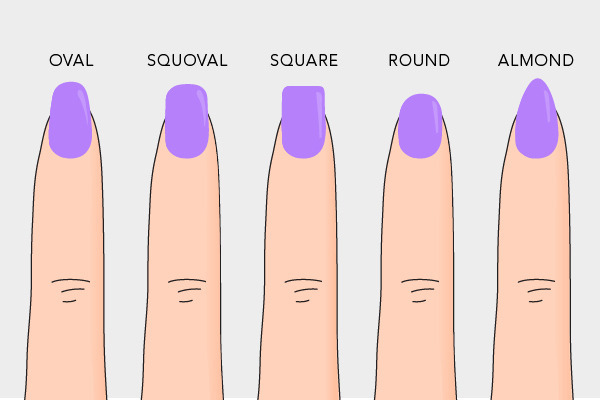 Nail Shapes Chart